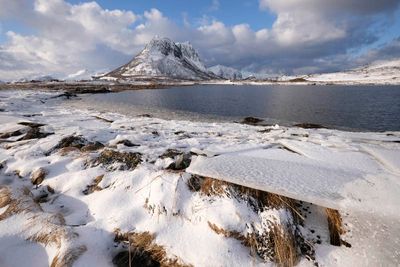 Hestnesbukta