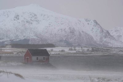 Hestnesbukta