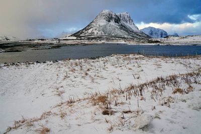 Hestnesbukta