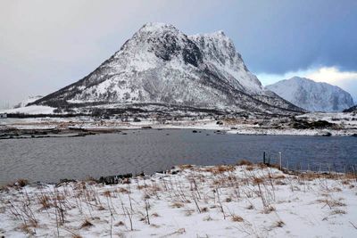 Hestnesbukta