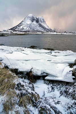 Hestnesbukta