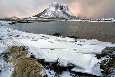 Hestnesbukta