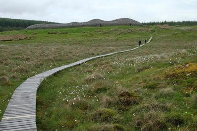 Trail to Grey Cairns of Camster