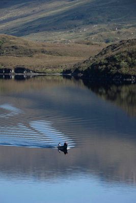 Loch Assynt