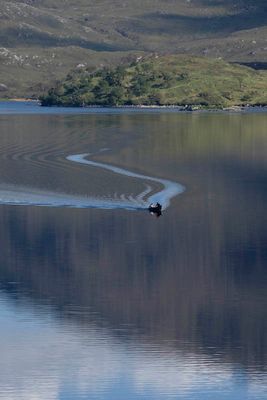 Loch Assynt