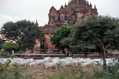 Bagan, near Sinbyushin Monastic Complex