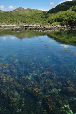 Loch an Eisg-Brachaidh