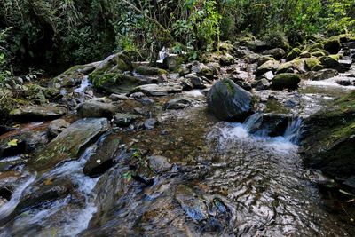 Vale de Cocora