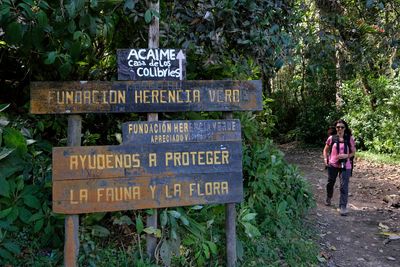 Vale de Cocora