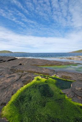 Althandu, Port Beag Chalets