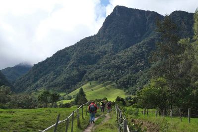 Vale de Cocora