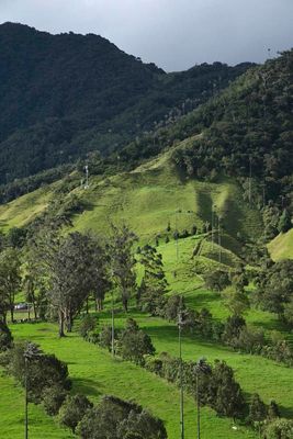 Vale de Cocora