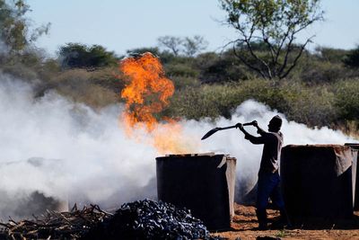 From Waterberg Plateau NP to Cheetah Conservation Fund