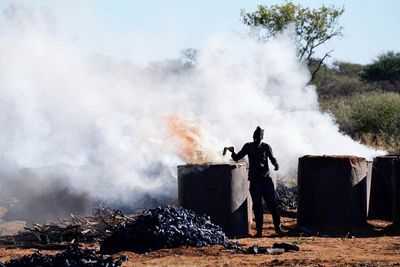 From Waterberg Plateau NP to Cheetah Conservation Fund