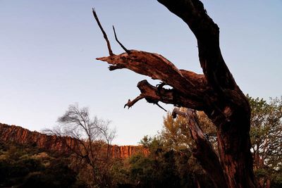 Waterberg Plateau National Park