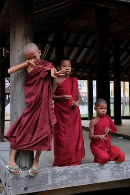 Salay, Young Monks
