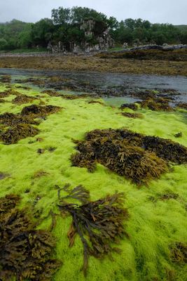 Isle of Skye, Ord
