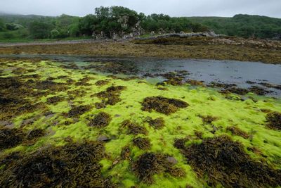 Isle of Skye, Ord