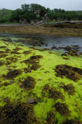 Isle of Skye, Ord