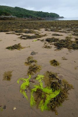 Isle of Skye, Ord