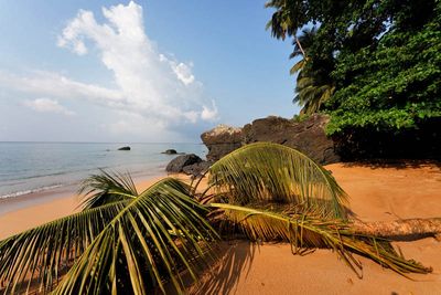 Príncipe Island, Burra Beach
