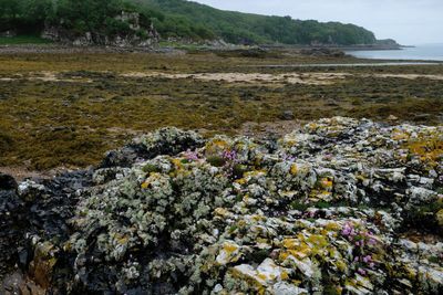 Isle of Skye, Ord