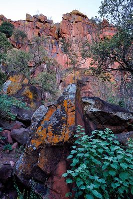 Waterberg Plateau National Park, Trail Head Mountain View