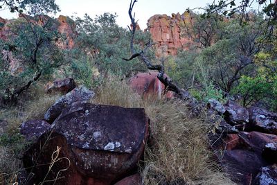 Waterberg Plateau National Park, Trail Head Mountain View