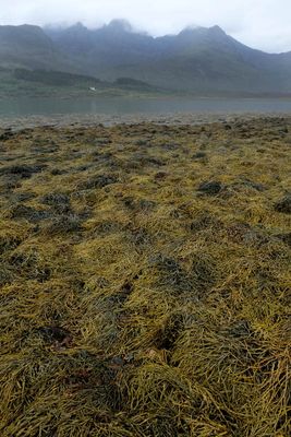 Isle of Skye, Torrin