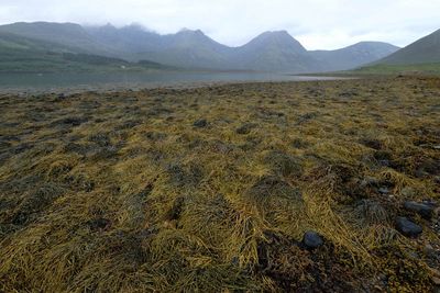 Isle of Skye, Torrin