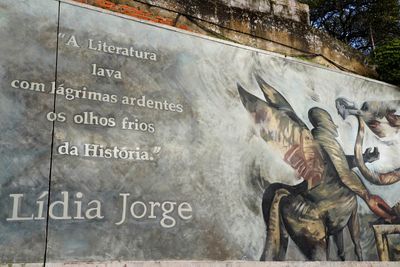 Flores do Lima Street, Daniela Guerreiro 2020