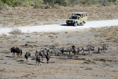Etosha National Park, Namutoni Resort