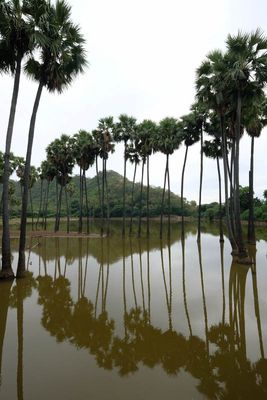 Near Gway Cho