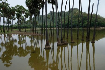 Near Gway Cho
