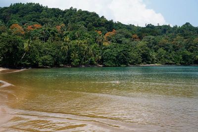 Príncipe Island, Salgada Beach