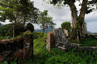 Príncipe Island, Roça Terreiro Velho