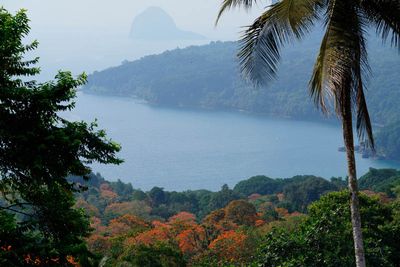 Príncipe Island, Roça Terreiro Velho