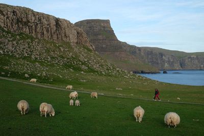 Isle of Skye, Nest Point
