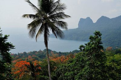 Príncipe Island, Roça Terreiro Velho