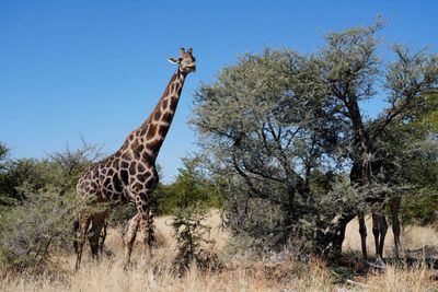 Etosha National Park, to Chudop Waterhole