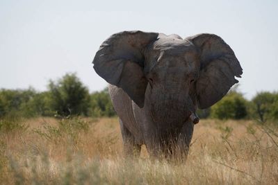 Etosha National Park, to Chudop Waterhole