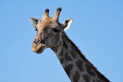 Etosha National Park, to Chudop Waterhole