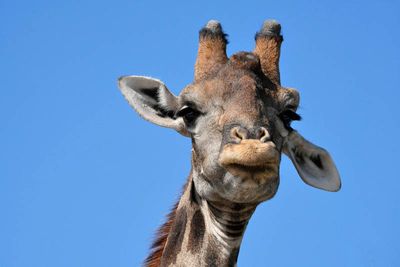 Etosha National Park, to Chudop Waterhole