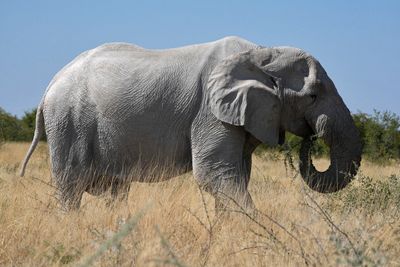 Etosha National Park, to Chudop Waterhole