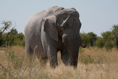 Etosha National Park, to Chudop Waterhole
