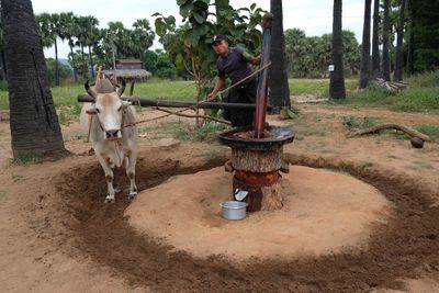 Bagan, Near Taun Zin Village