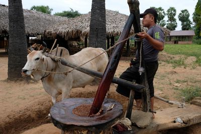 Bagan, Near Taun Zin Village