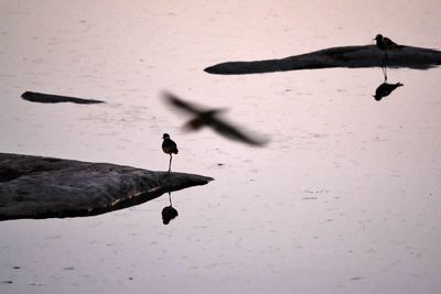 Etosha National Park, Halali Waterhole
