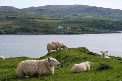 Isle of Skye, to Nest Point