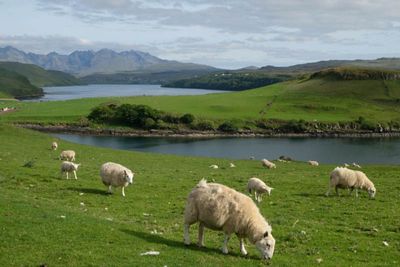Isle of Skye, Gesto Bay and Loch Harport